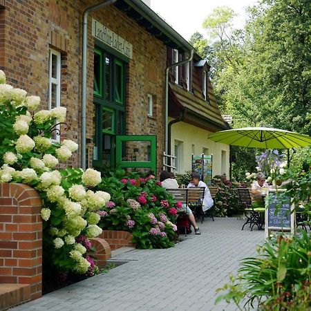 Apartamento Grüner Wald Burg Kauper Exterior foto