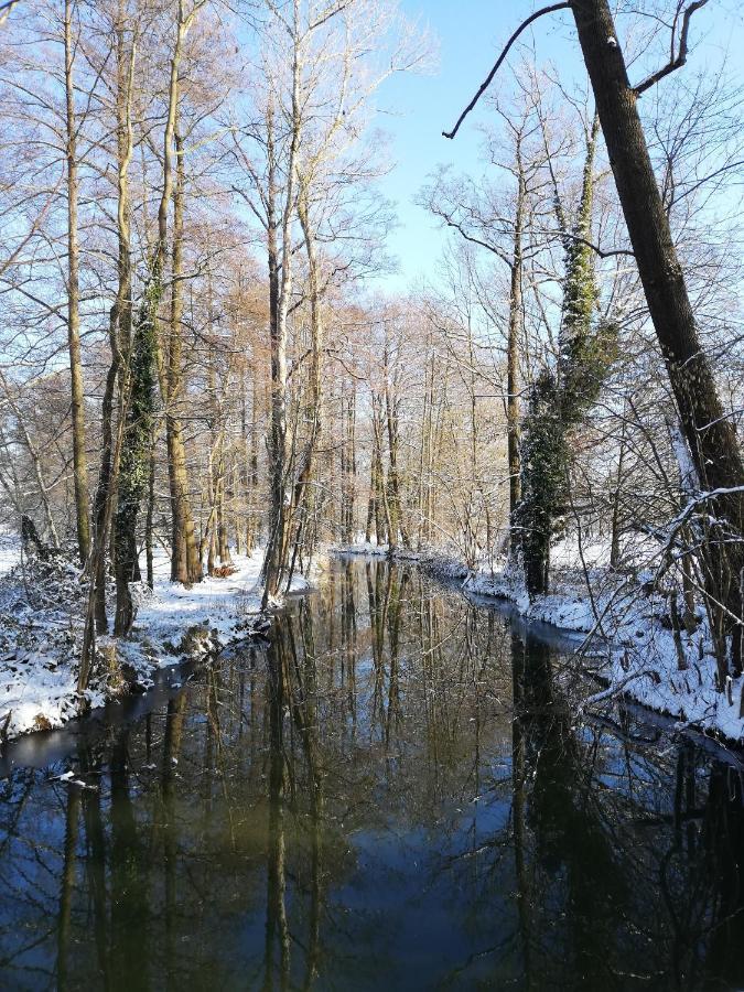 Apartamento Grüner Wald Burg Kauper Exterior foto
